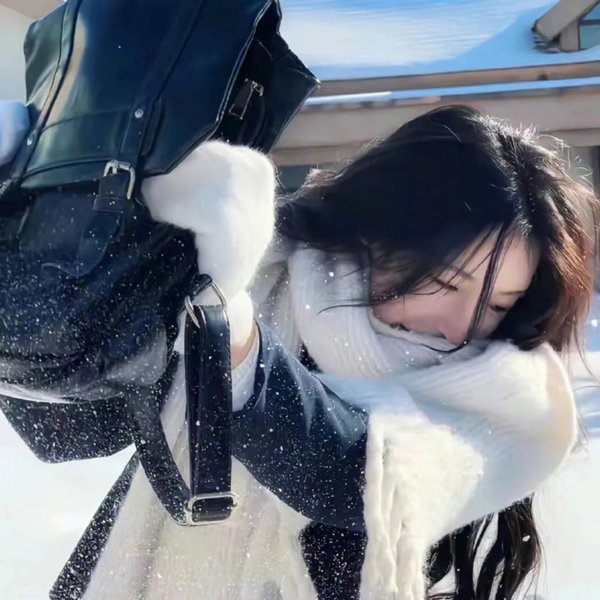 猎头行动海报