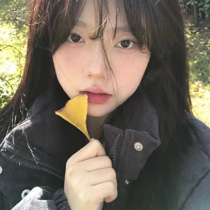求求了，快复婚吧海报