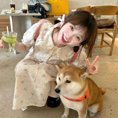 少年男仆库洛海报