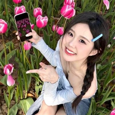 校影迷雾海报